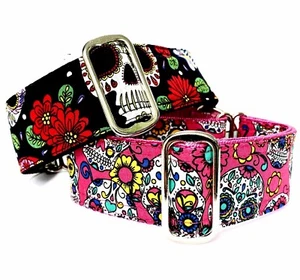 greyhound/ whippet/ saluki skull candy martingale dog collar - Picture 1 of 1