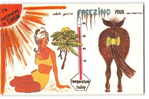 Postal: "I'm Suntanning in Florida" Bikini Niña Vintage Arte Humoroso Tarjeta Arco - Imagen 1 de 2