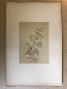 Original Foto um 1865 Flower Studies Blumenstudien von Lelong RAR! - Bild 1 von 2