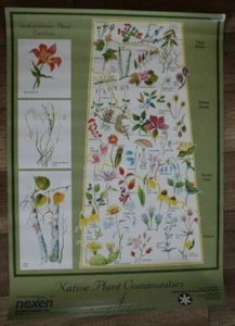 Póster de flores hierba de Native Plant Society Communities Saskatchewan década de 1990 bien - Imagen 1 de 1
