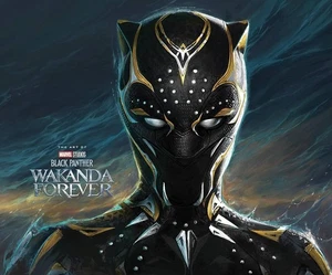 BRACCIALE PERLE BLACK PANTHER - WAKANDA FOREVER HERO VIBRANIO KIMOYO, CON LOP - Foto 1 di 17