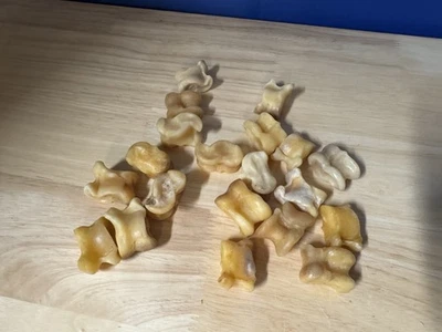 MONGOLIA MONGOLIAN SHEEP ANKLE BONE TRADITIONAL SHAGAI GAME 20 PIECE # 2 - Image 1 of 4