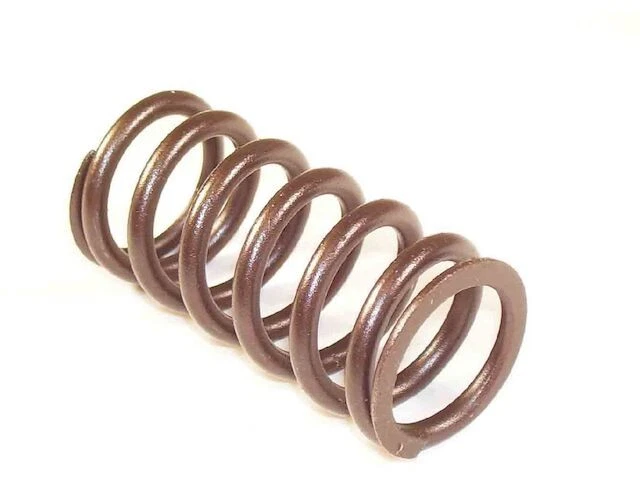 Resorte de válvula interior 37GWPT76 para Caliente Capri Colony Park Comet Commuter Cougar Foto 1 de 1