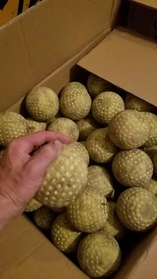 6 Dozen 72 Count Used Softball Sized (12 inch) Dimple Pitching Machine Balls  - Image 1 of 3