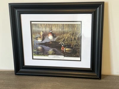 Arte de pared con impresión enmarcada de patos Robert Hautman “October Sun” 17”x15” negro Foto 1 de 4