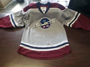 Rare World Selects Hockey Jersey Mens M #10 GETZ - Picture 1 of 11