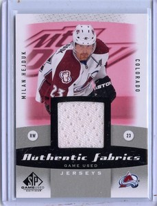 2010/11 UD SP GAME USED MILAN HEJDUK GU JERSEY