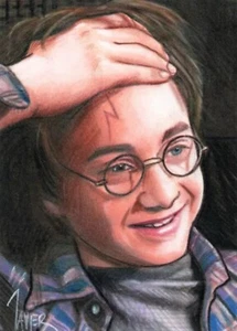 2024 Blackhilt Harry Potter 1/1 Hand Painted Original Art Card Auto Javier - Picture 1 of 3
