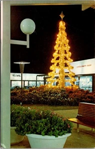 Postal del Festival de las Luces del Centro Comercial Fort Worth Texas Holiday Festival of Lights - Imagen 1 de 2
