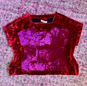 Comme des Garçons Rei Kawakubo CDG 2012 velvet two-tone red pink runway blouse - Picture 1 of 9