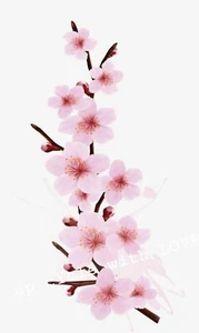CALCOMANÍA DE TRANSFERENCIA DE MUEBLES IMAGEN ROSA SAKURA ORIENTAL PEGATINA / TOBOGÁN ACUÁTICO - Imagen 1 de 6