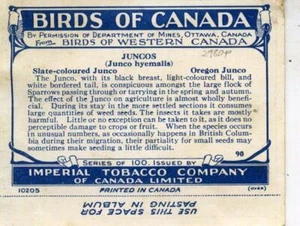 TABACO IMPERIAL: AVES DEL OESTE DE CANADÁ - TARJETA C 1930 R2980P - Imagen 1 de 1