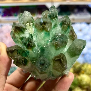 388G New Find Green Phantom Quarzo Cristallo Grappolo Esemplare Minerale - Foto 1 di 14