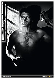 Brute Force (DVD, 2009)