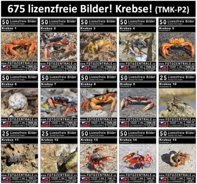 675 Lizenzfreie Profi-Bilder! Krebse Krebstiere Photoshop Royalty Free UVP 449,- - Bild 1 von 4