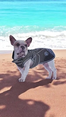 Hunter Hundemantel Uppsala Softshell schwarz Wasserabweisend, Fleece Innenfutter - Bild 1 von 4