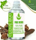 Pure Herbs Clove Bud 100% Pure & Natural Syzygium Aromaticum Essential Oil