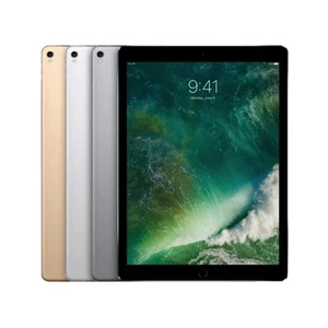 Apple iPad Pro 12.9 (2nd Gen.) 256GB WiFi Fair Condition - All Colors - Afbeelding 1 van 4