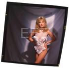Frederick&#39;s Of Hollywood Lingerie Models Harry Langdon Transparency w/rights 31G