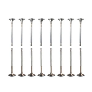 16pcs Exhaust + Engine Intake Valve For VW Jetta 1.4T 1.6L 11-17 - Picture 1 of 11