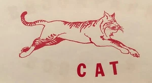Plancha para gato rojo original vintage en transferencia - Imagen 1 de 1