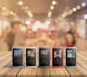 Reproductor de audio digital Sony Walkman NW-A45 16 GB 5 colores de Japón usado - Imagen 1 de 12