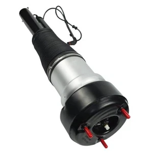 Amortiguador de puntal de suspensión neumática delantero compatible con 2x2 delantero izquierdo/derecho - Imagen 1 de 8