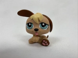 AUTHENTIC Littlest Pet Shop puppy triplet 1/3 #1340 - Picture 1 of 6