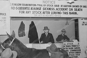Livestock Animal Auction With Horse 1930s Professional Photo Lab Reprint - Picture 1 of 1