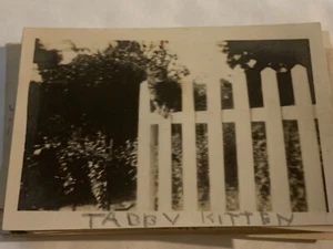 STRATFORD-UPON-AVON WESTON FARM / BARNFIELD 1928 RP REAL PHOTO tabby kitten - Foto 1 di 1