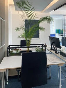 Co-Working | Gut ausgestatteter Arbeitsplatz in Bochum - Bild 1 von 18