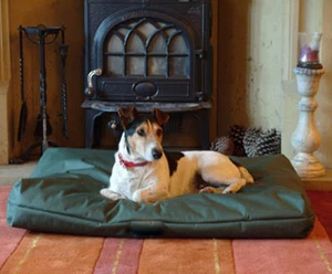 Heavy Duty Dog Bed Waterproof Fabric 600 Denia Thick Filled with Rebound 58"x38" - Picture 1 of 6
