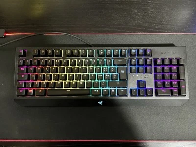 Tastiera gaming Razer Blackwidow - Layout ITA QWERTY - meccanica Switch verdi - Immagine 1 di 4