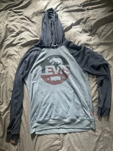 Levi's Hoodie Sweatshirt M Mens Blue Spellout Bear Logo Pullover Sweater - Picture 1 of 6