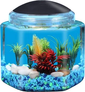 1 Gallone Hex Bettatank - LED Beleuchtung - Bild 1 von 3