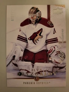 Ilya Bryzgalov 2008-09 UD serie 1 exclusivas tarjeta de inserción 77/100 - Imagen 1 de 2