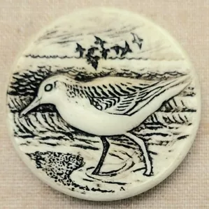 Nuevo imán de nevera Sandpiper refrigerador de aves naturaleza océano - Imagen 1 de 4