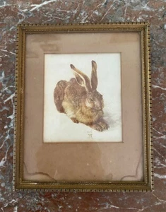 Genuine Antique Print of Albrecht Duerer study of The Young Hare Circa 1502 - Picture 1 of 4