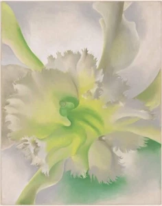 An Orchid by Georgia O'Keeffe : 1941 Botanical Floral Art Print to Frame - Picture 1 of 2