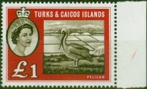 Turks & Caicos Islands 1960 £1 Sepia & Deep Red SG253 Fine MNH - Picture 1 of 1