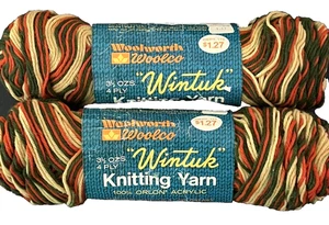 2 Skeins Vintage Wintuk Orlon Acrylic 4 Ply Yarn 3.5 oz Fall Splendor Ombre - Picture 1 of 3