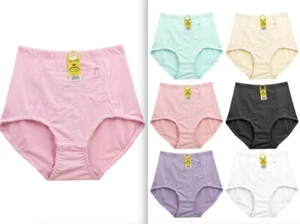 6 HIGH WAIST BRIEFS GIRDLES PANTIES TUMMY CONTROL ZIPPER TRAVEL SAFE POCKET - Picture 1 of 4