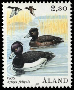 ALAND ISLANDS 16 - Tufted Ducks "Aythya fuligula" (pb17717) - Picture 1 of 1