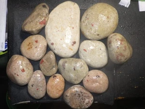 Puddingsteine 7 Pfund 13,6 Unzen - Bild 1 von 5