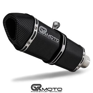 Auspuff für Ducati Monster 821 2014 - 2020 GRmoto Auspuff Carbon