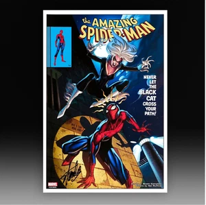 The Amazing Spider-Man Colour Print – Signed by Stan Lee – Marvel Creator Art - Bild 1 von 2
