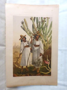 RARE 1857 PAPAGOS Color Chromolithograph Arthur Schott Sarony, Major & Knapp NY - Picture 1 of 5