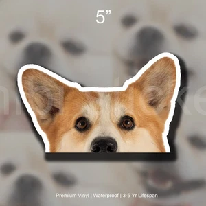 Red Headed Corgi Realistic Dog Peeker Sticker Vinyl Waterproof - Picture 1 of 2