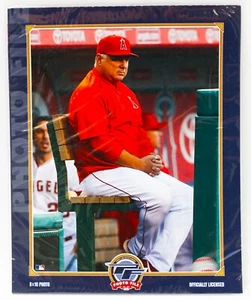 Photo File 8x10 Officially Licensed of Mike Scioscia Manager LA Angels Baseball - Picture 1 of 2