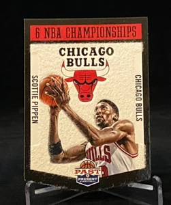2012-13 Past & Present Championship Banners #5 Scottie Pippen Chicago Bulls - Bild 1 von 2
